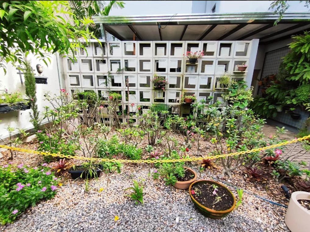 Hotel Pepita Palace 锡诺普 外观 照片